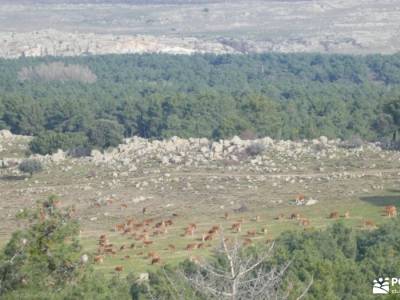 Comida Navidad - Los 13 Roeles; rutas navacerrada hoces del riaza puente san jose sierra de irati ex